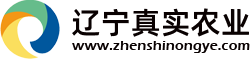 地瓜几天可以生根发芽？需要注意什么？-行业动态-沈阳水果代卖_好因果联销代销水果蔬菜_沈阳良心代销_沈阳真实代销代卖_沈阳地利水果批发市场联销代销_辽宁真实农业科技有限公司